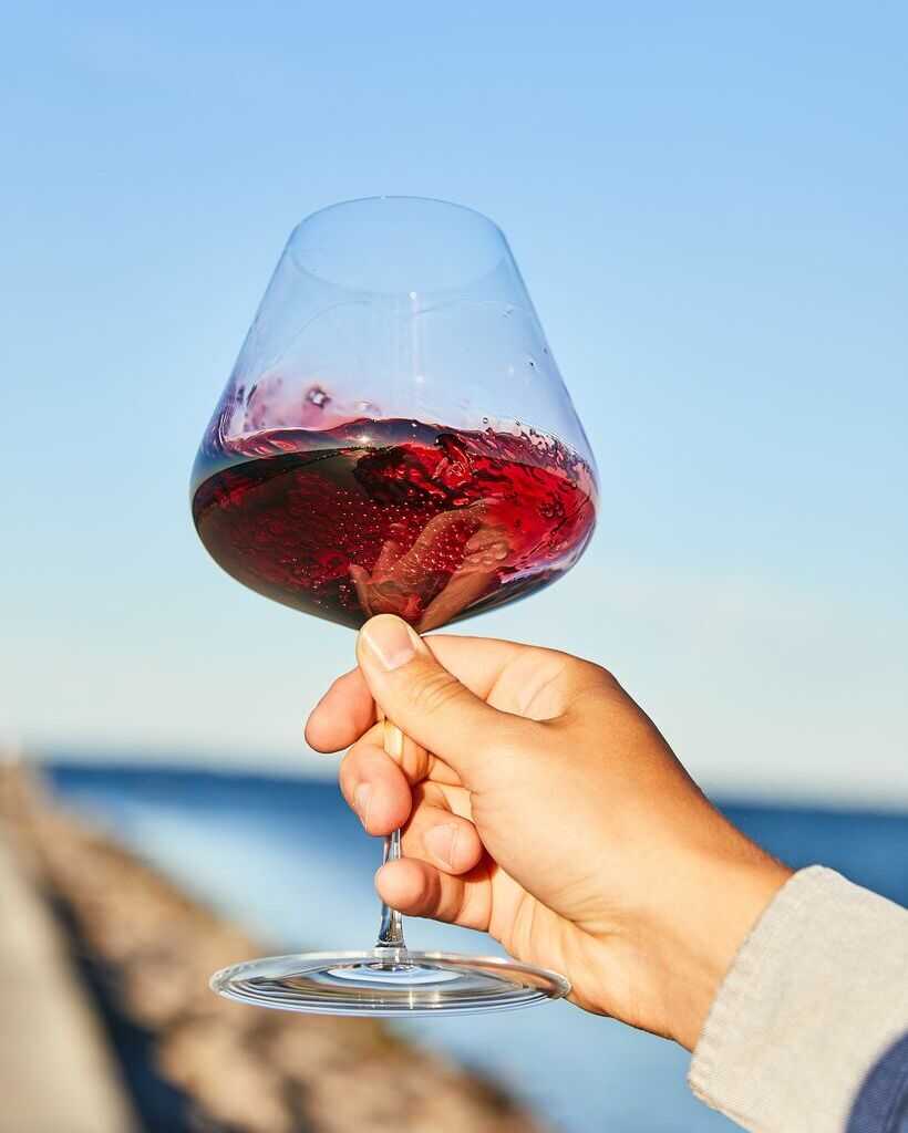 Zalto Burgundy Glass, Zalto, Zalto glass, Zalto glas, Zalto Denk&#39;art, Zalto wine glass