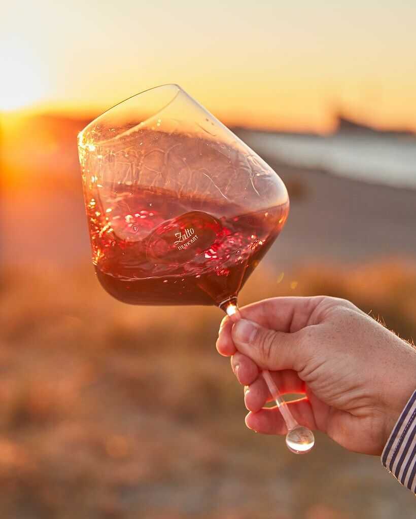 Zalto Gravitas Omega, Zalto, Zalto glas, Zalto vinglas, Zalto, Zalto Denk&#39;art